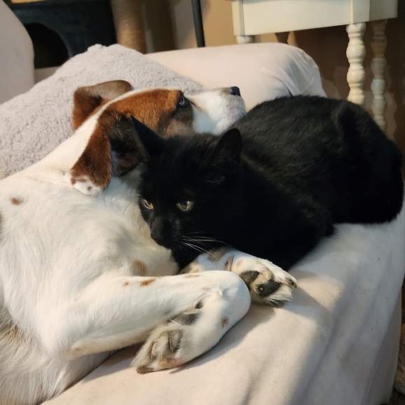 Meet your Posher, Mary - Picture 15 of 16